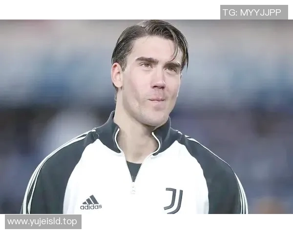 弗拉霍维奇：从崭露头角到欧洲顶级前锋的成长之路