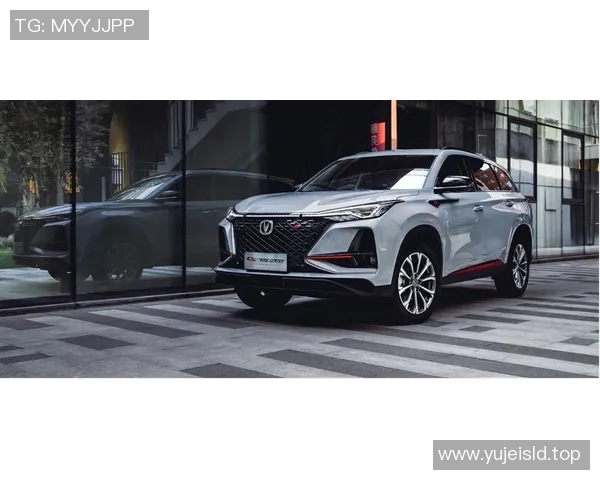 飞燕诺与芬洛的巅峰对决谁将赢得最终荣耀