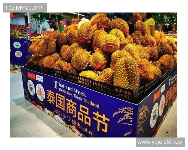 泰国市场上是否存在VS品牌的相关信息与产品分析